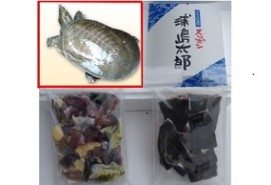 冷凍スッポン